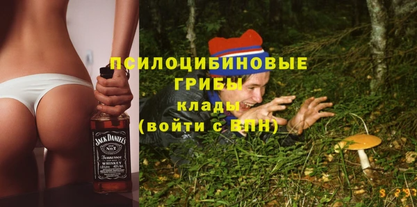 круглые Алзамай